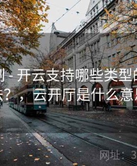 平台机制 - 开云支持哪些类型的竞猜玩法？，云开厅是什么意思