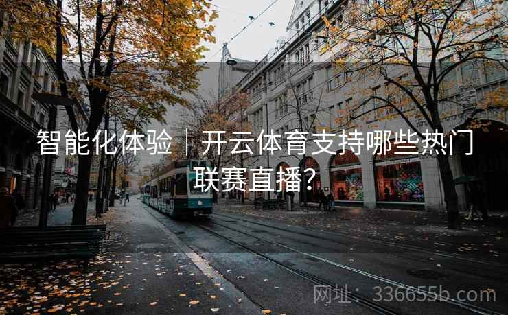 智能化体验｜开云体育支持哪些热门联赛直播？
