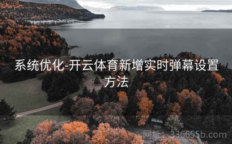 系统优化-开云体育新增实时弹幕设置方法