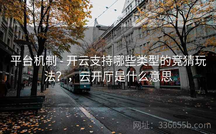 平台机制 - 开云支持哪些类型的竞猜玩法？，云开厅是什么意思