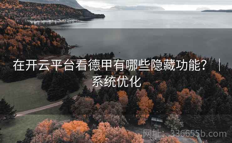 在开云平台看德甲有哪些隐藏功能？｜系统优化