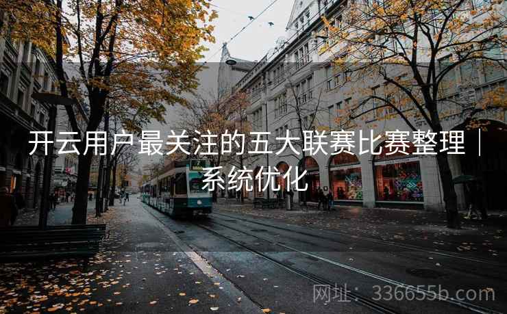 开云用户最关注的五大联赛比赛整理｜系统优化